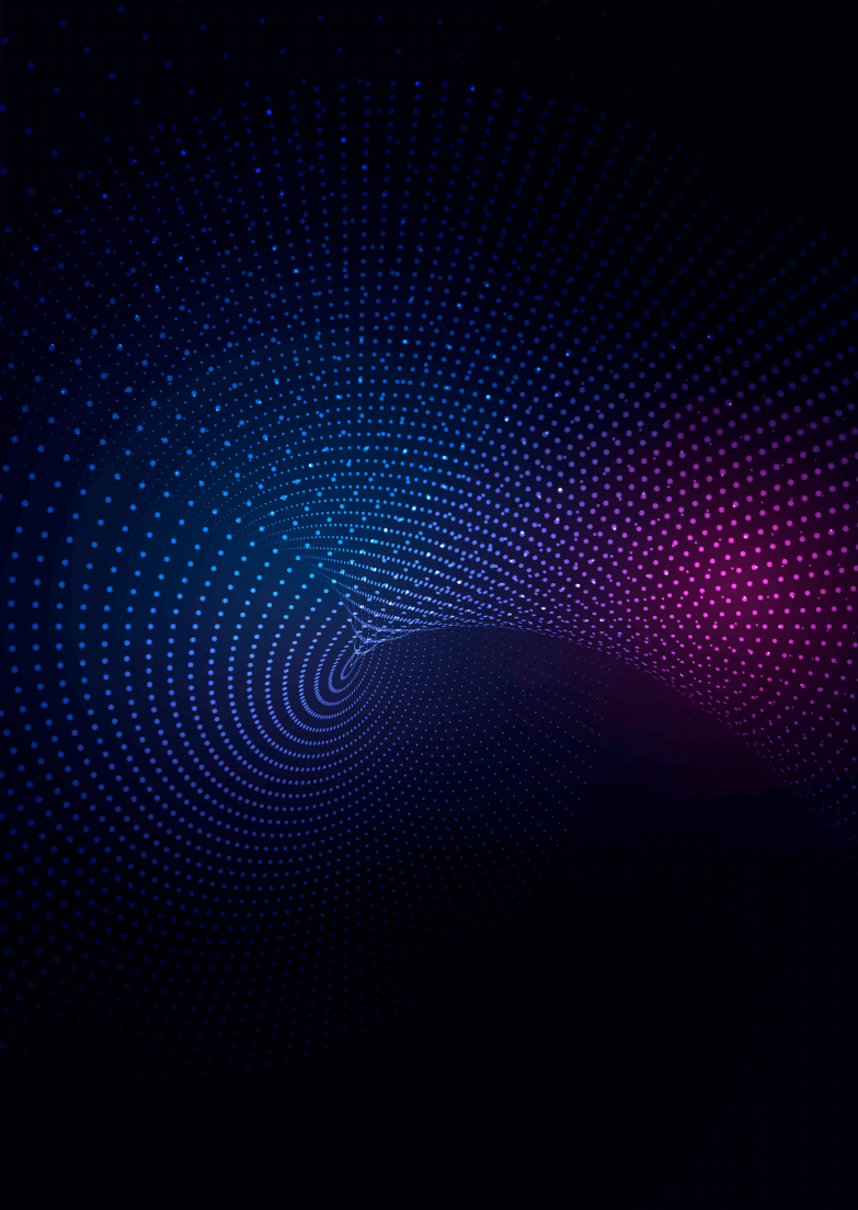 digitace portfolio