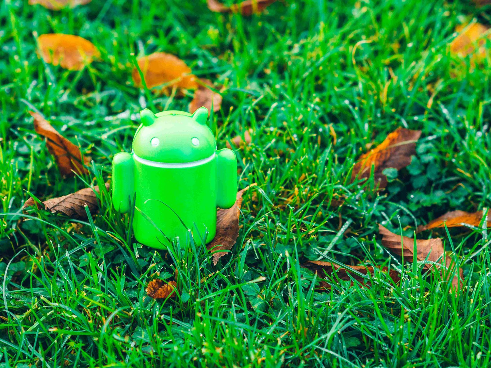 Android Development